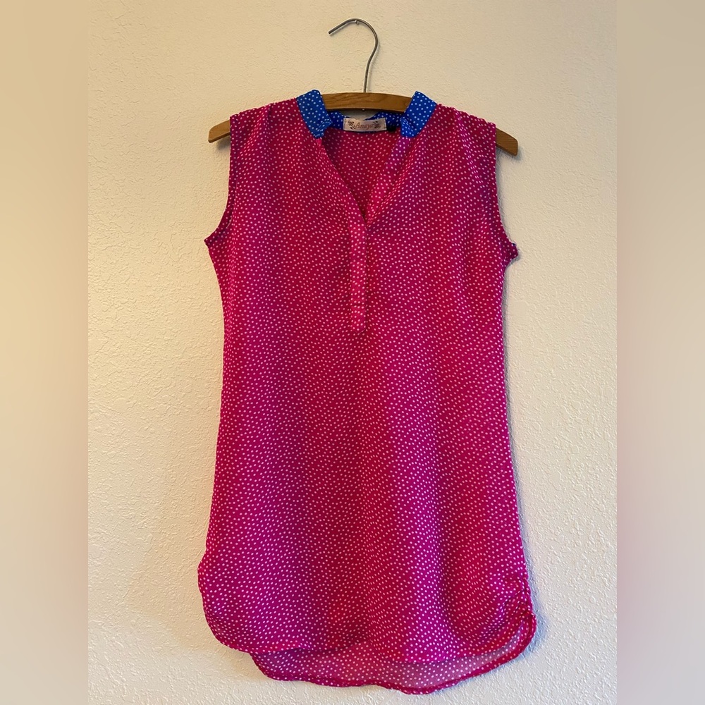 Anaya Pink and Blue Polk Dot Sheer Blouse